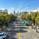 가로수길 이미지