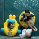 태안 라벨르키즈풀빌라 이미지