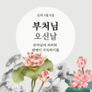 미움도 괴롭고 사랑도 괴롭다 이미지