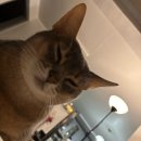 할매 마법 쿠키클래스 | 아무리 준비해도 상상도 못한 게 다가올 테니까 신경 쓰지마