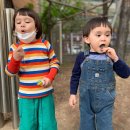 민들레엔터테인먼트 이미지