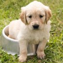 사직동물의료센터 이미지