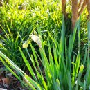 섭스토어 이미지