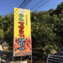 제1 농장 네이버블로그