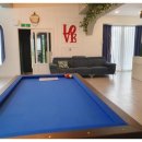 까멜리아 이미지