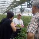 연옥농장 이미지