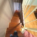 베일리하우스애견펜션 | 여수애견동반펜션 강아지도 주인도 편했던 여수 뮤지컬 하우스,여수펜션애견동반 숙소 솔직 후기