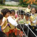 길원목장 이미지