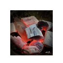 Re: 4월20일(일요일) 경희대 국제캠퍼스 왕겹벚꽃 출사 이미지