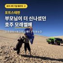 미화농장 | [호주 5박7일 패키지 ③] 포트스테판 모래썰매 후기｜부모님도 여러 번 타셨습니다