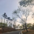 오펠 스크린골프 이미지