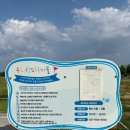 [파주] 7개월 아기와 파주 나들이｜임진각 평화누리공원 그늘막 피크닉 후기