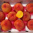 늘해랑농원 이미지