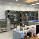 내아이 동물병원 이미지