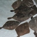 황금어장 이미지