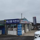 우진골프 | 제주도 3박4일 여행코스 총정리｜애월 협재 성산 서귀포 여행 일정 공유