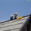 회양횟집 이미지