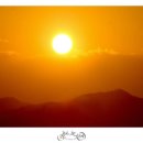 더하늘약국 이미지