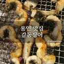 구성2로 | 용인 맛집/감동장어 풍천 민물장어 직판장 장어구이 주차 메뉴 내돈내산 솔직후기