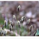 월출산이야기 이미지