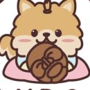 안독(Andog) 이미지