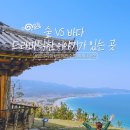 영덕무청영농조합법인 | 숲 vs 바다 드라마같은 이야기가 있는 곳 #영덕여행 #영해면둘러보기 #겨울바다 #숲여행