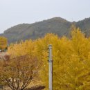 양지1리 이미지