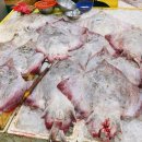 중앙수산 이미지