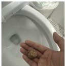 케어의신 이미지