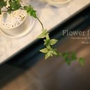 아이비플라워 앞 이미지