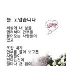 비오는날의추억 이미지