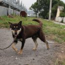 장대농장 이미지