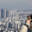 강남-169 이미지