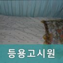 등용고시원
