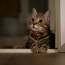 미소메디컬센터 이미지