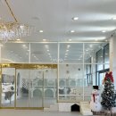 멍세권 | 청주 동남지구 애견호텔 유치원 미용 멍세권 이용후기