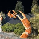 LG전자(주) 영덕서비스센터 | 영덕 대게 맛집 강구항 대게거리 '영덕 강남대게'