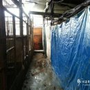 성남축산 이미지