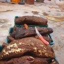 황인수농장 이미지