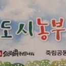 죽림공동체 이미지