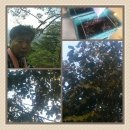 김종군농장 이미지