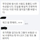 제주항공 참사로 가족 잃은 '푸딩이' 불쌍해 이미지