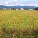 신광농장2 이미지