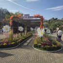 대장경테마파크천년관1층 | 2025 대장경기록문화축제 다녀왔어요｜작지만 알찬 대장경테마파크 가족 후기