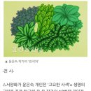 윤은숙개인전- 고요한 산책 이미지