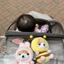 지투존오락실 이미지