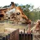 캔버라호텔 옆 이미지