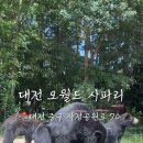 자유공원로 | 대전 오월드 사파리 웨이팅 없이 갔다온 후기 (8/8~8/24 자유이용권 30%할인, 네이버 예약시)