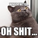 뷰티오렌지 이미지