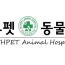 위드펫종합동물병원 이미지